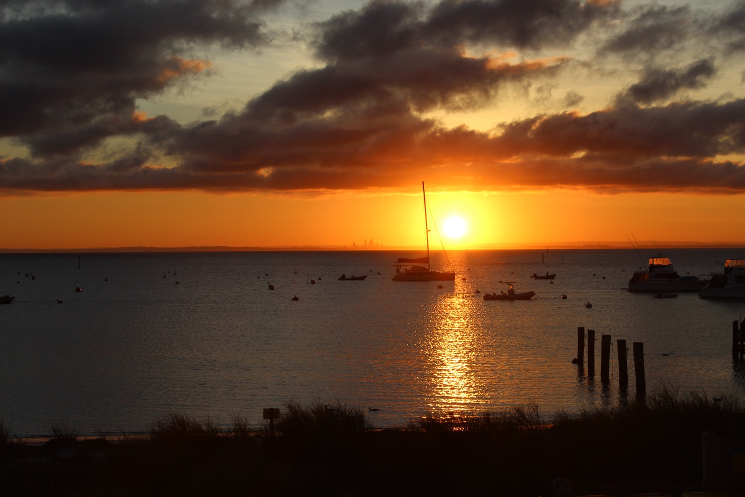 What’s on in Rottnest Island this New Year’s Eve 2020 What’s on in Rottnest Island this New Year’s Eve 2020