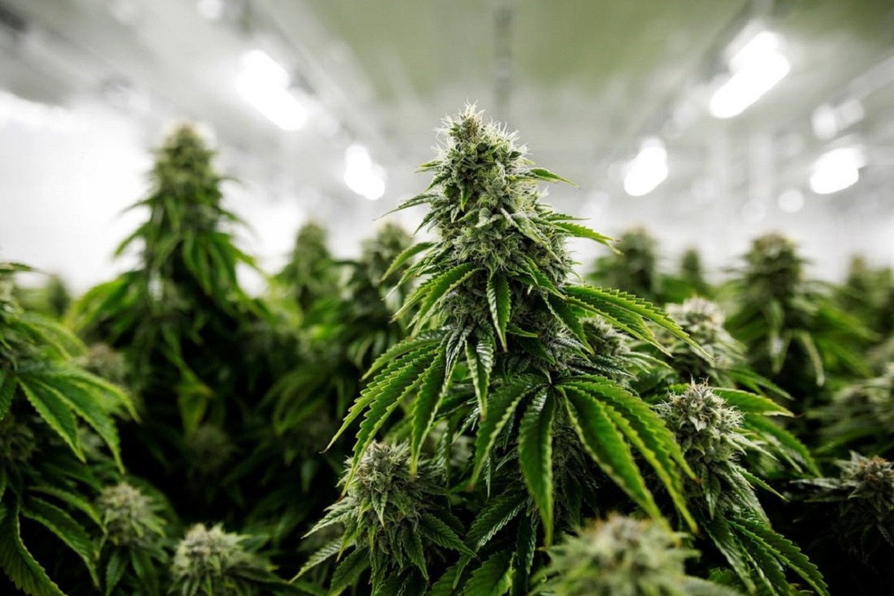 How to Consume CBD-Smoke Vs. Vape Vs. Edibles