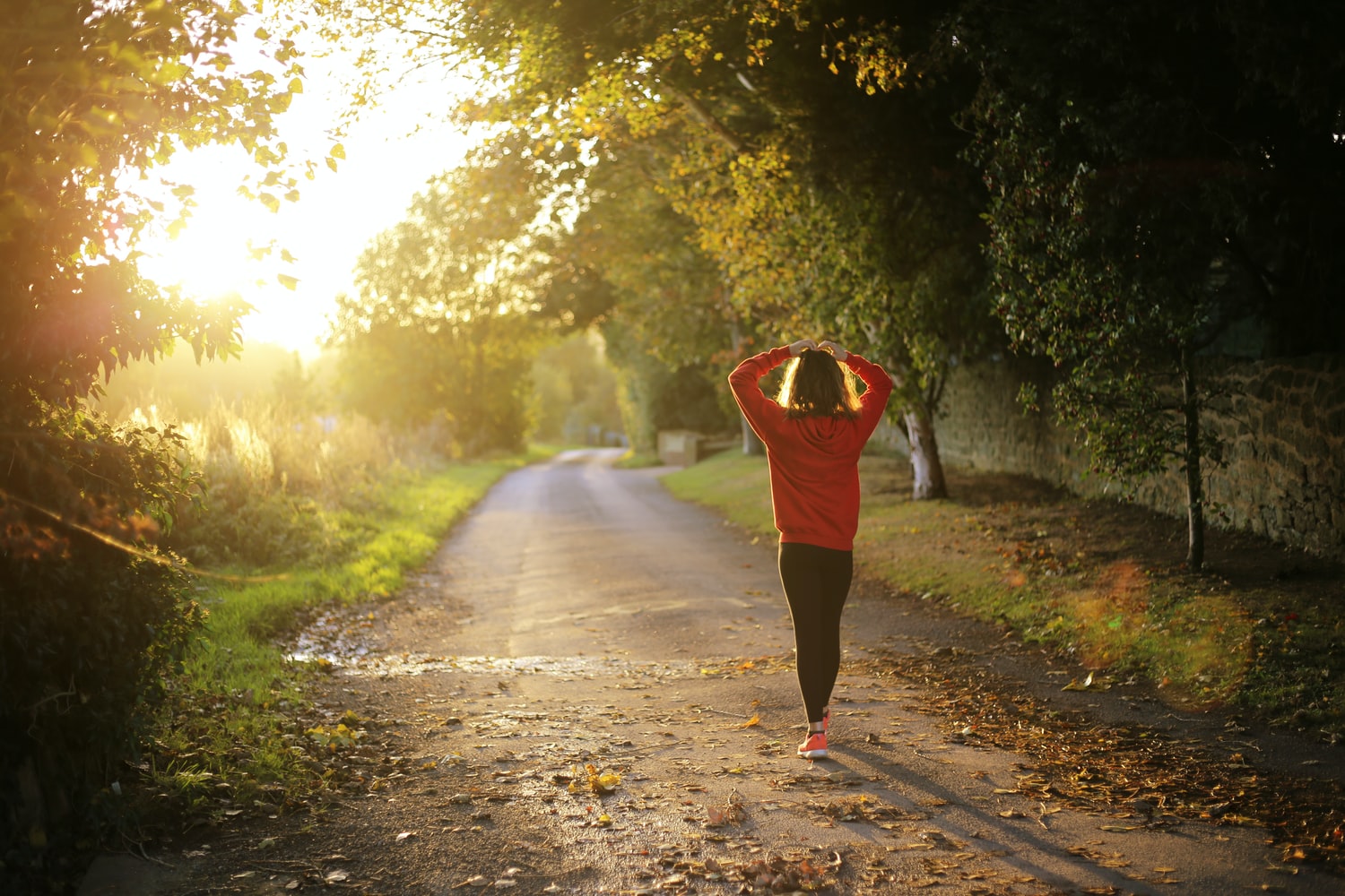 Key to Modernizing Your Lifestyle Key to Modernizing Your Lifestyle