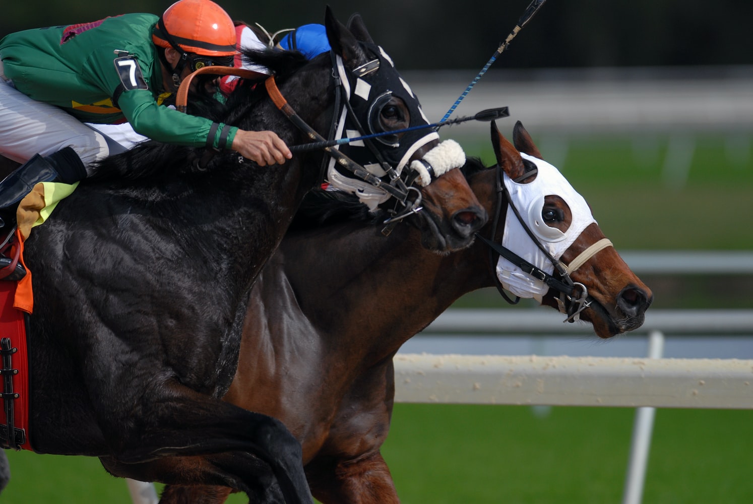 Top Australian Horse Racing Carnivals To Visit
