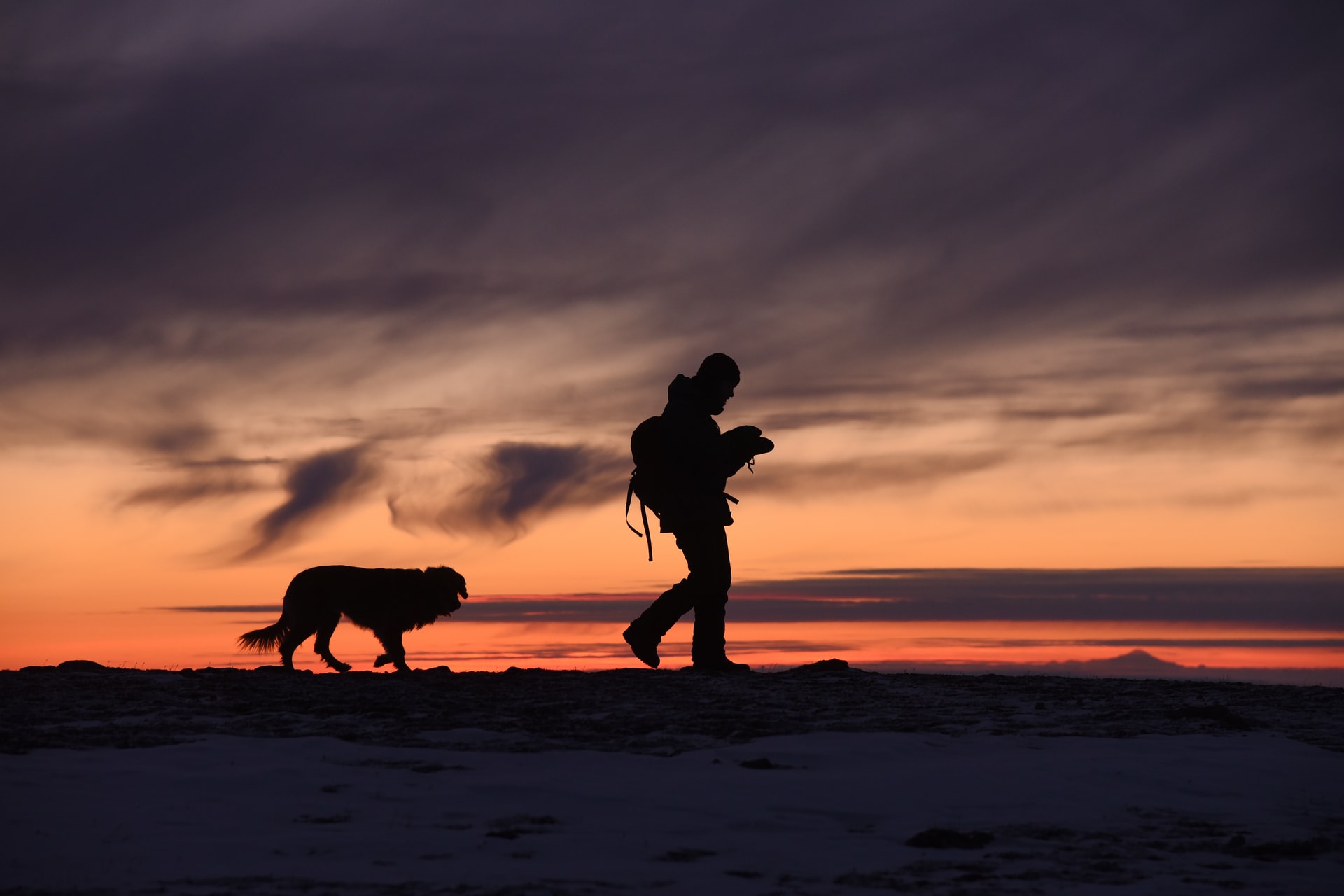 Amazing Adventures to Take With Your Dog Amazing Adventures to Take With Your Dog