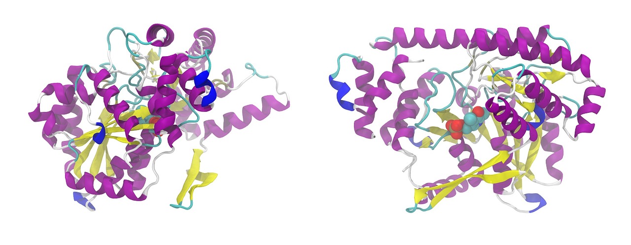 Some Best Tools For Protein Structure Characterization