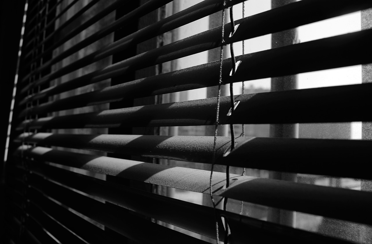 Reasons To Install Exterior Shades