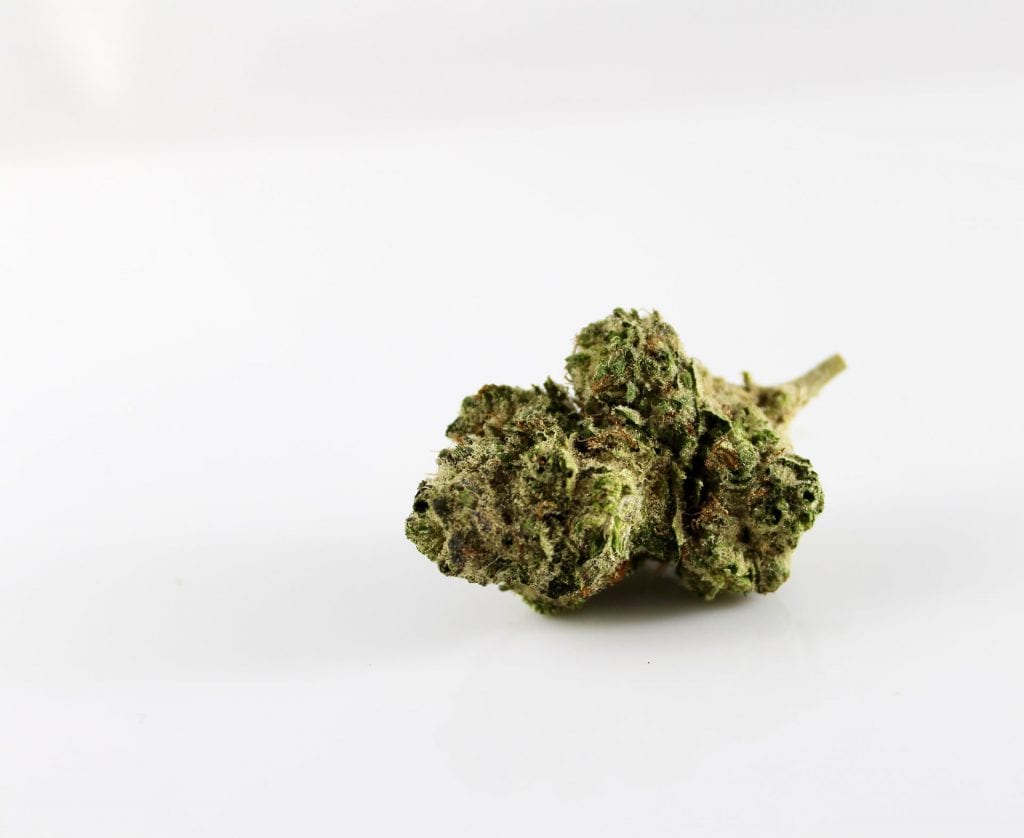 Everything You Need To Know About CBD