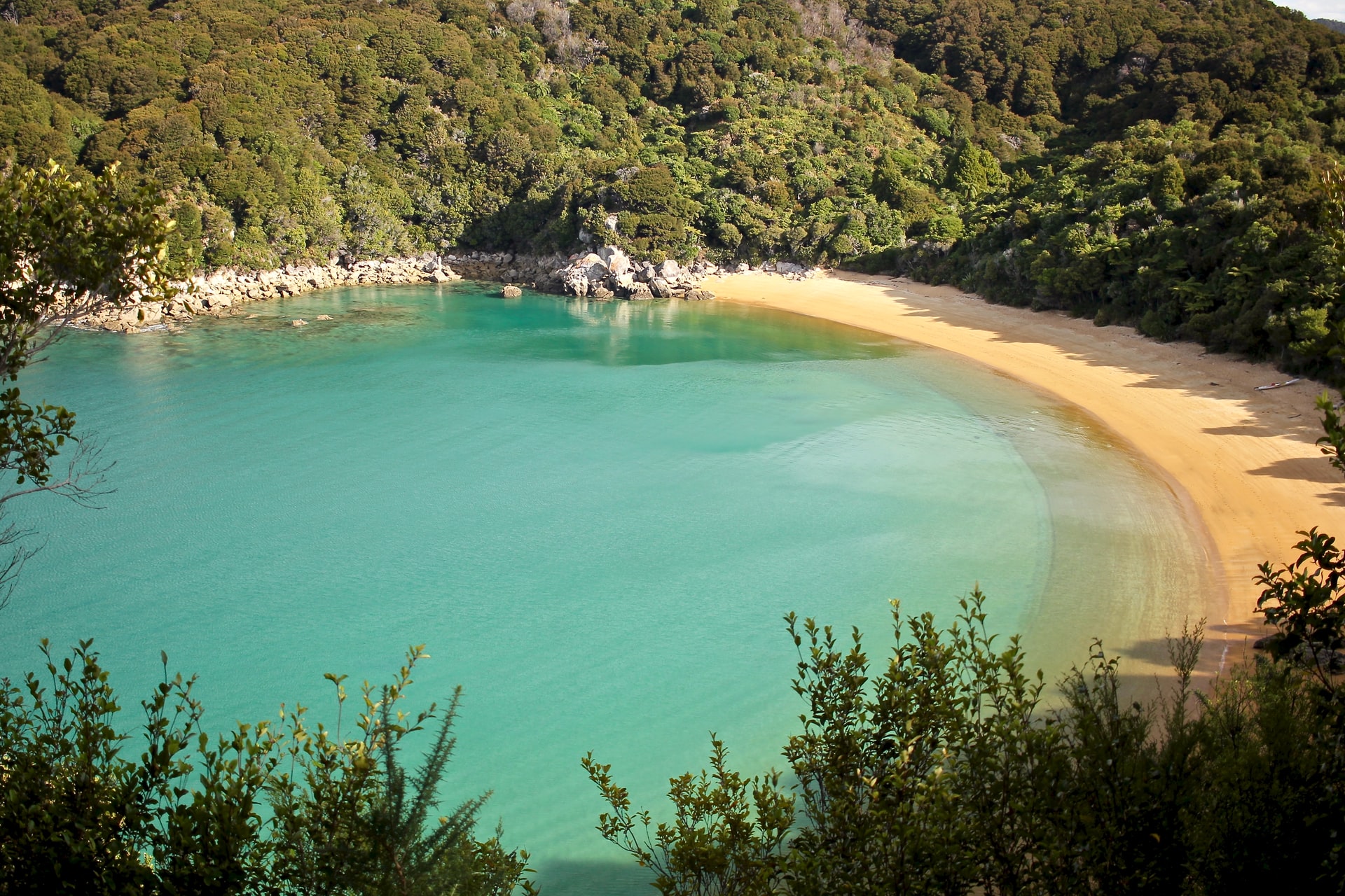david-tip-mi4Bk_803xs-unsplash Things to do in Nelson
