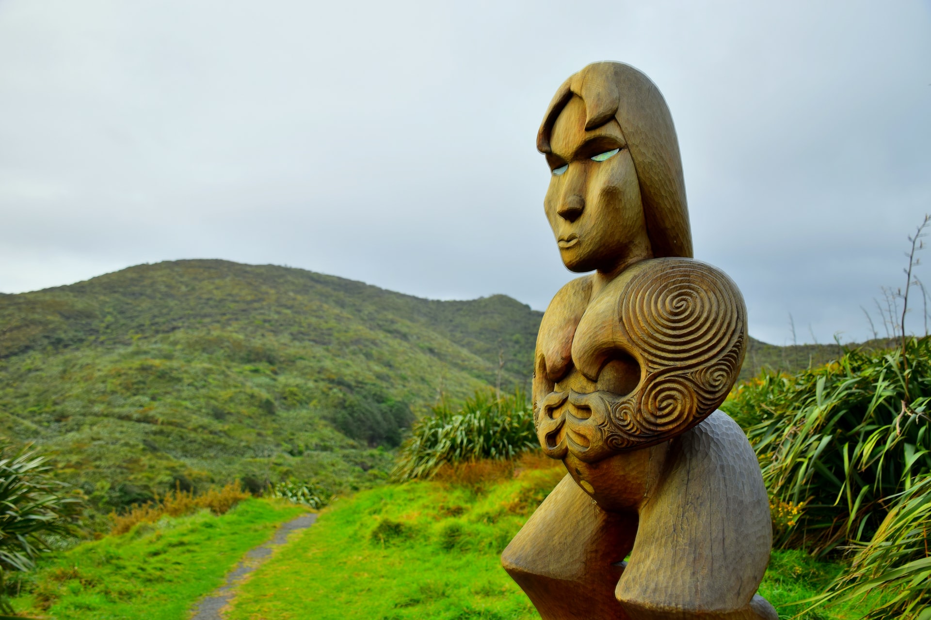 Things to do in the North Island Things to do in the North Island