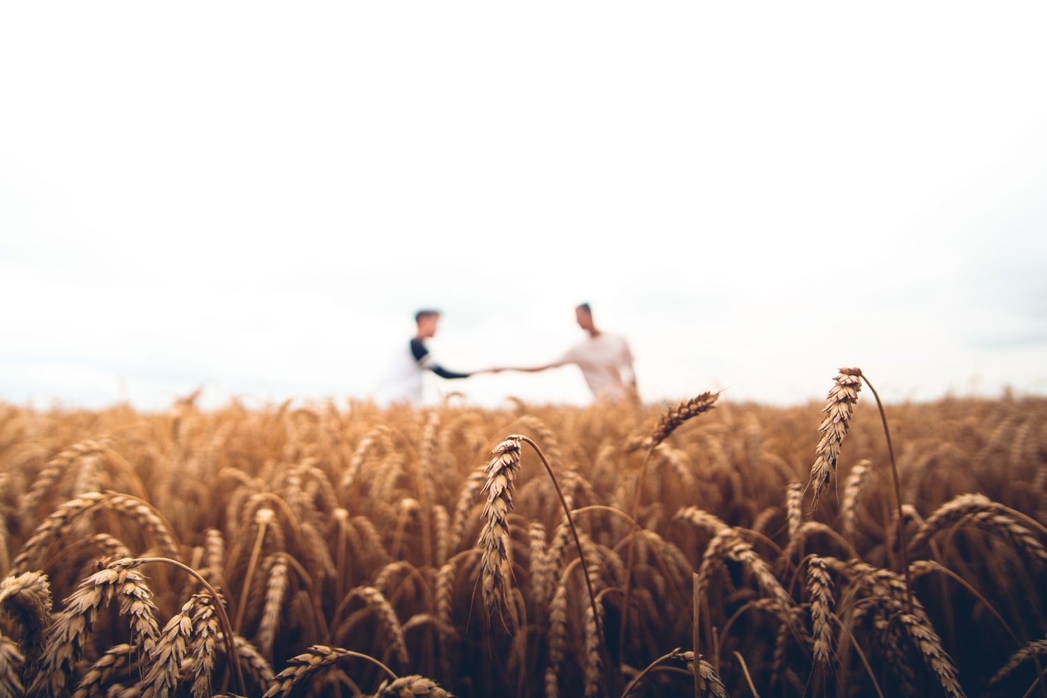New Agriculture Visa for Workers from the UK and ASEAN Countries New Agriculture Visa for Workers from the UK and ASEAN Countries