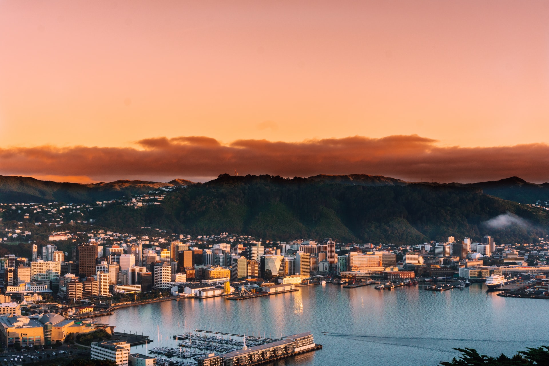 Things to do in Wellington Things to do in Wellington