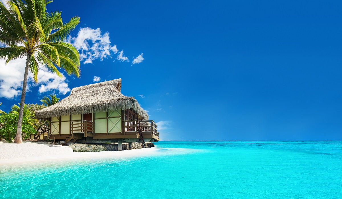Tropical bungallow on the amazing beach with palm tree Must-Have Features Of The Perfect Beach Accommodation