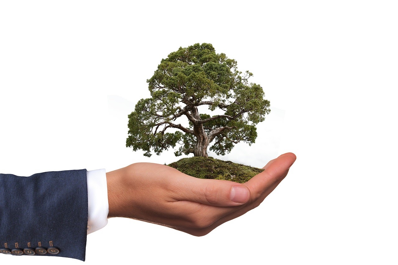 Six Ingenious Ways to Live An Environmental-friendly Lifestyle Six Ingenious Ways to Live An Environmental-friendly Lifestyle