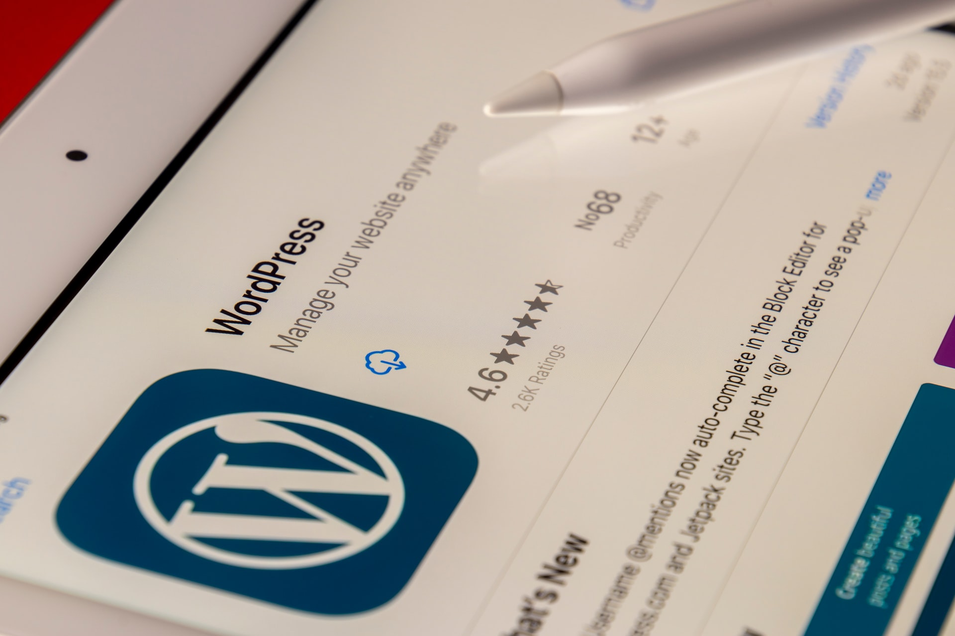 WordPress Themes for Casino Sites WordPress Themes for Casino Sites