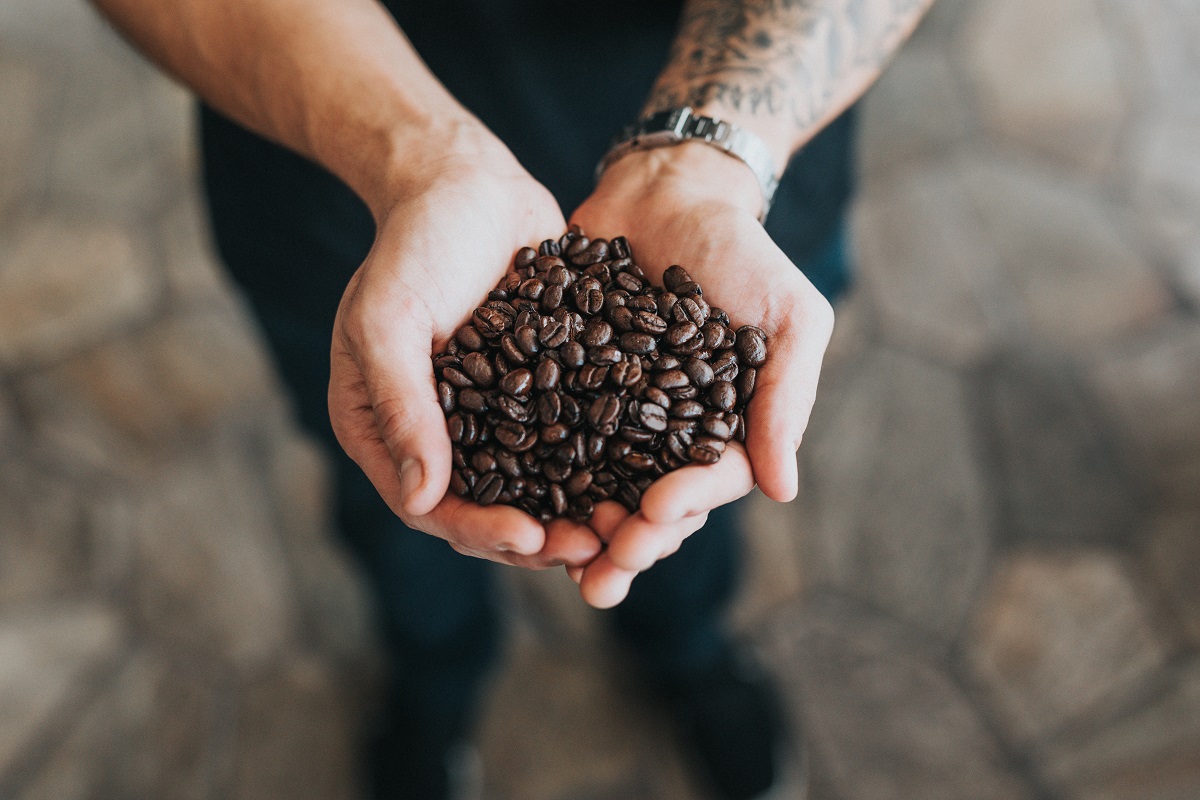 Top Coffee Beans In The World That You Should Know About