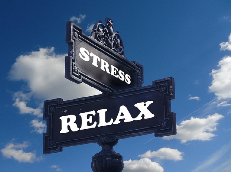 Tips To Stay Stress-Free And Calm In Today’s Stressful Life