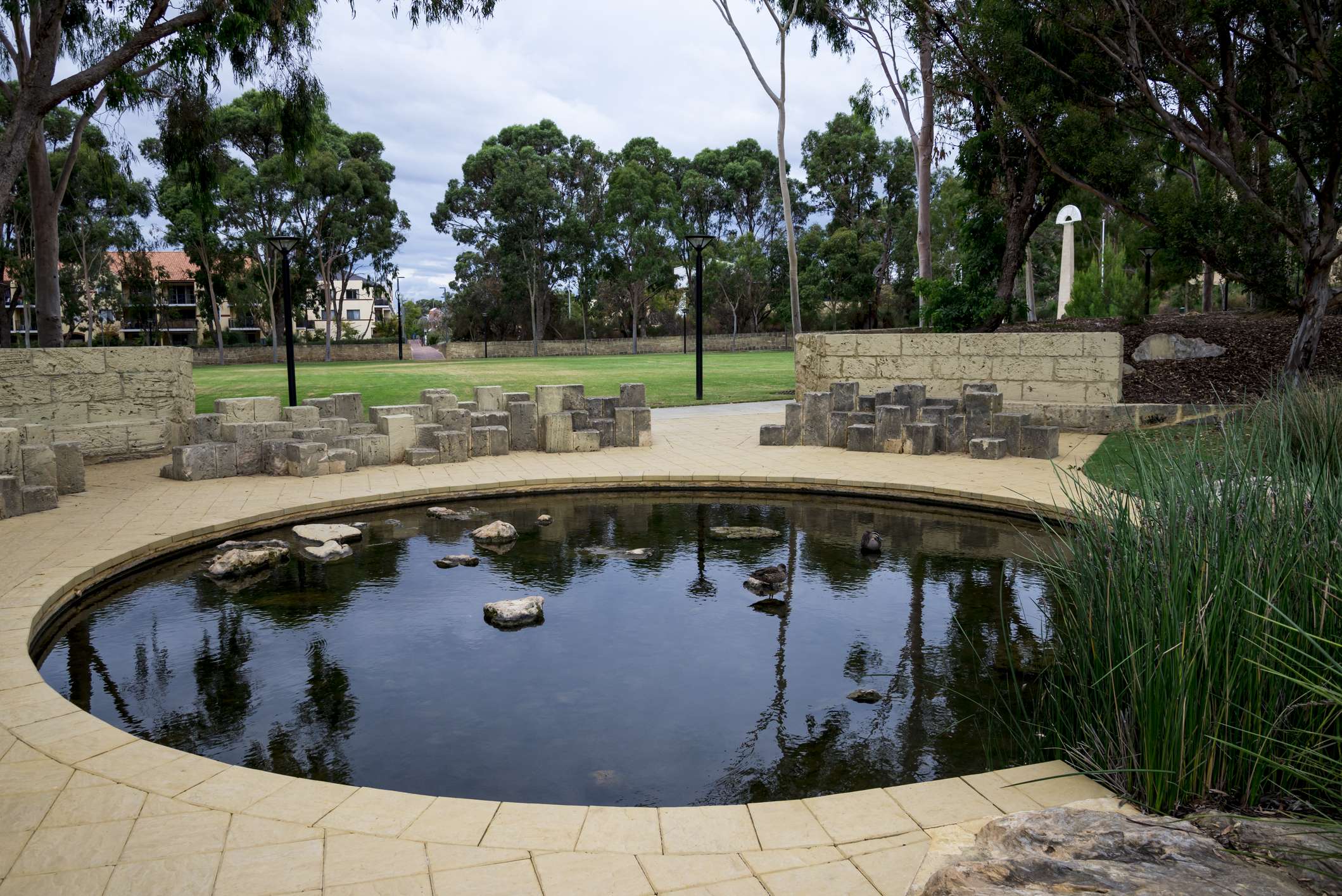 Scenic artificial lake in Joondalup Central Park Day trips Perth to Fremantle Rockingham Scarborough Joondalup