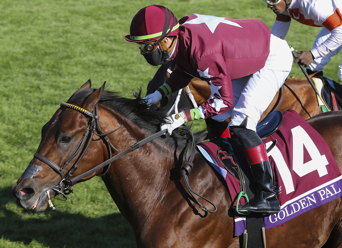 Best Picks For Breeders Cup Turf Sprint