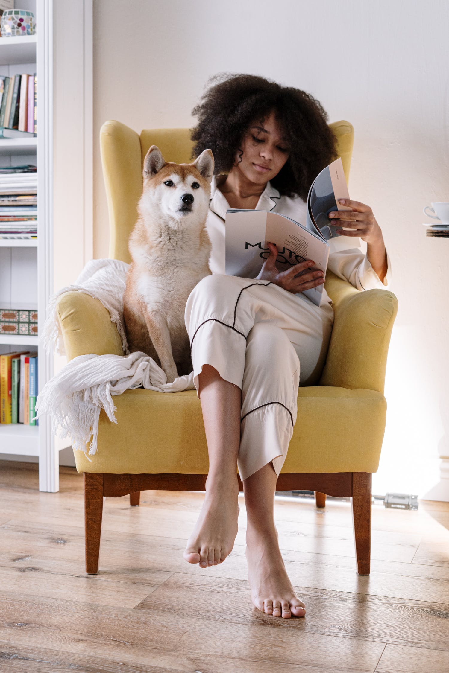 Essential Products for New Dog Owners