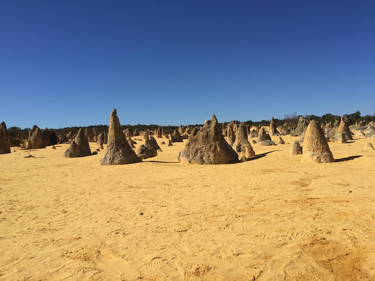 Pinnacles monkey mia tours Western Australia