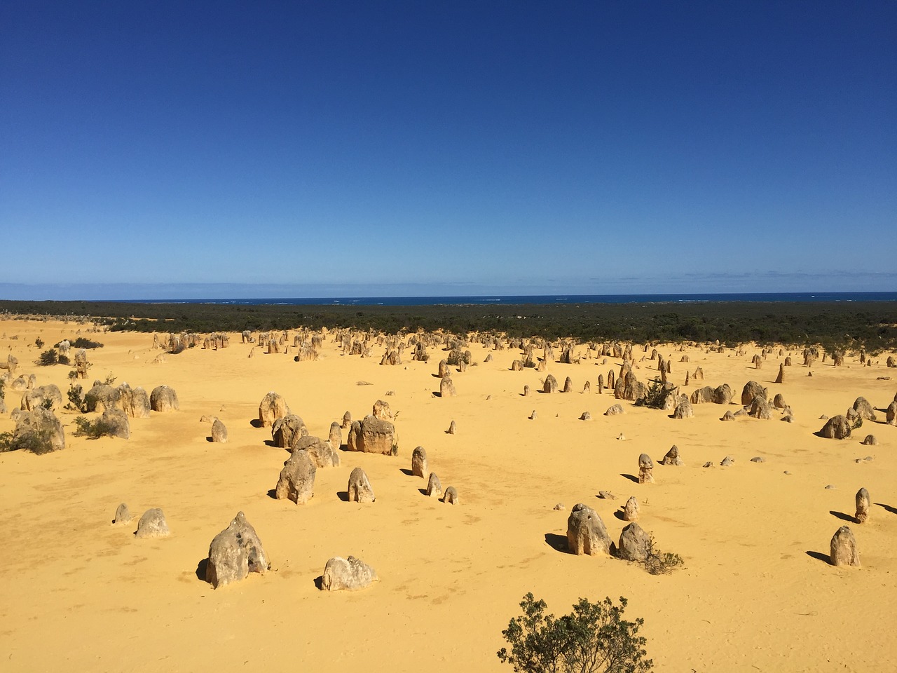 Day Trip to Yanchep Pinnacles Lancelin From Perth
