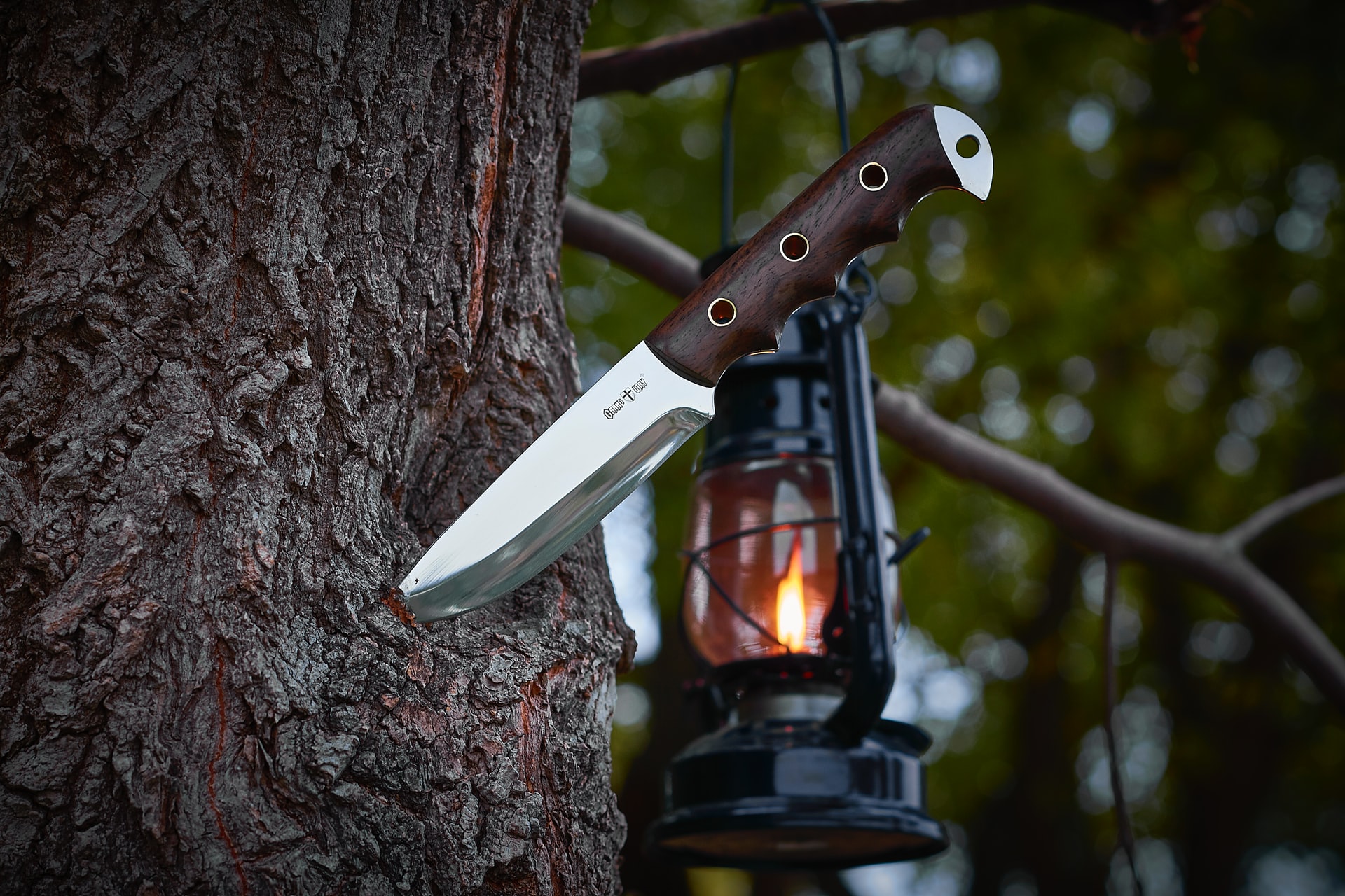 How to Purchase the Right Camping Knife