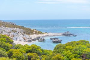Things to do in Fremantle