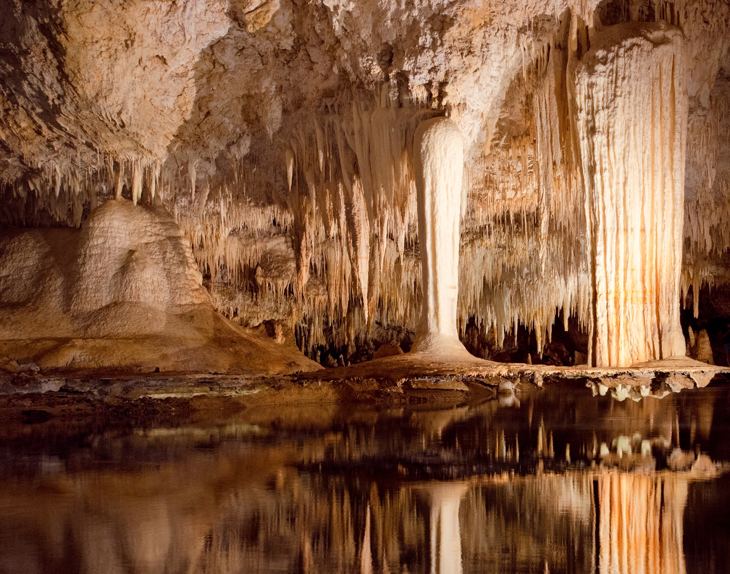 Day Trips to Margaret River from Perth