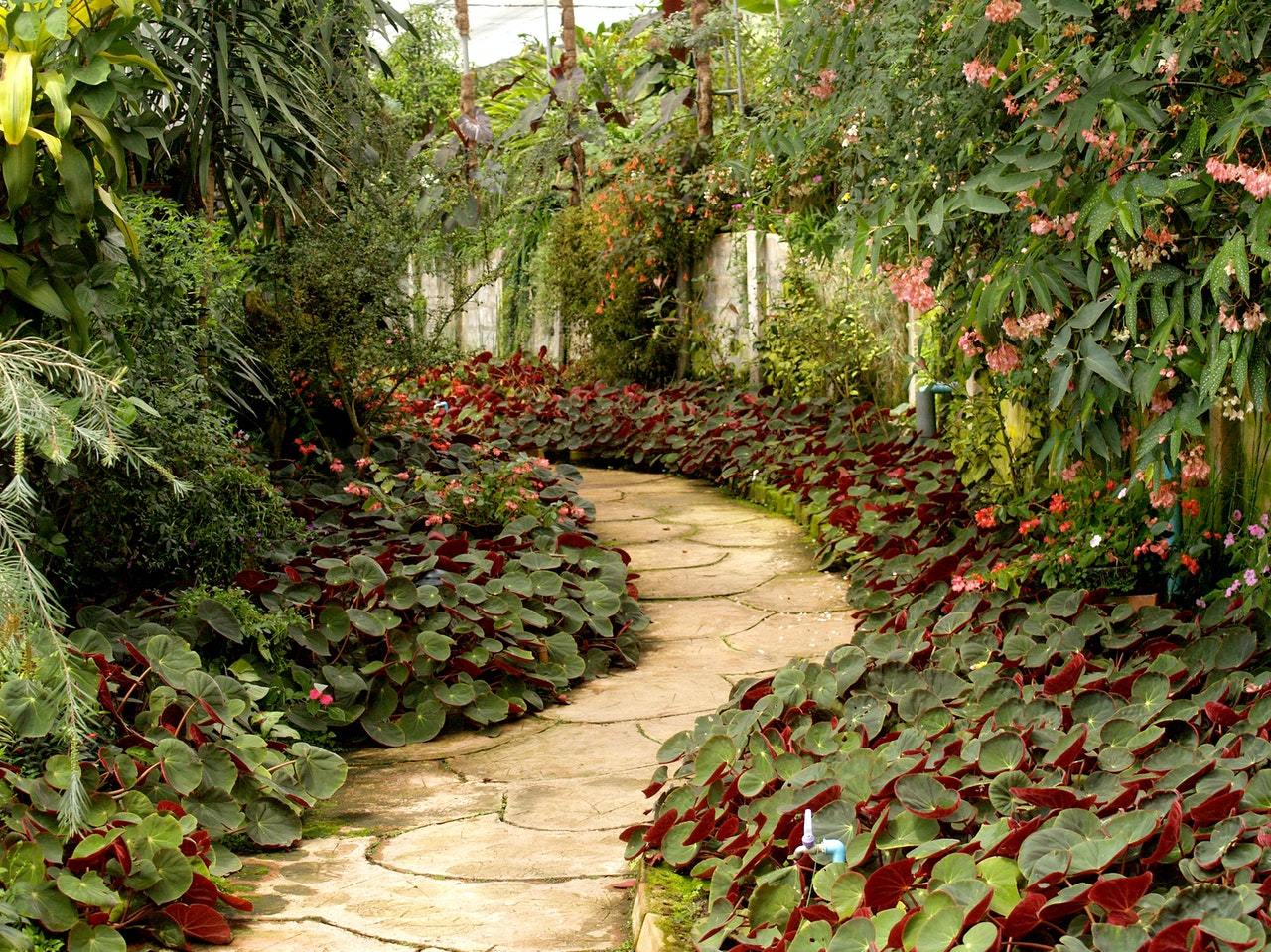 How to Plan a Successful Landscaping Project