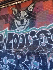 Graffiti and Street Art in Perth and Fremantle