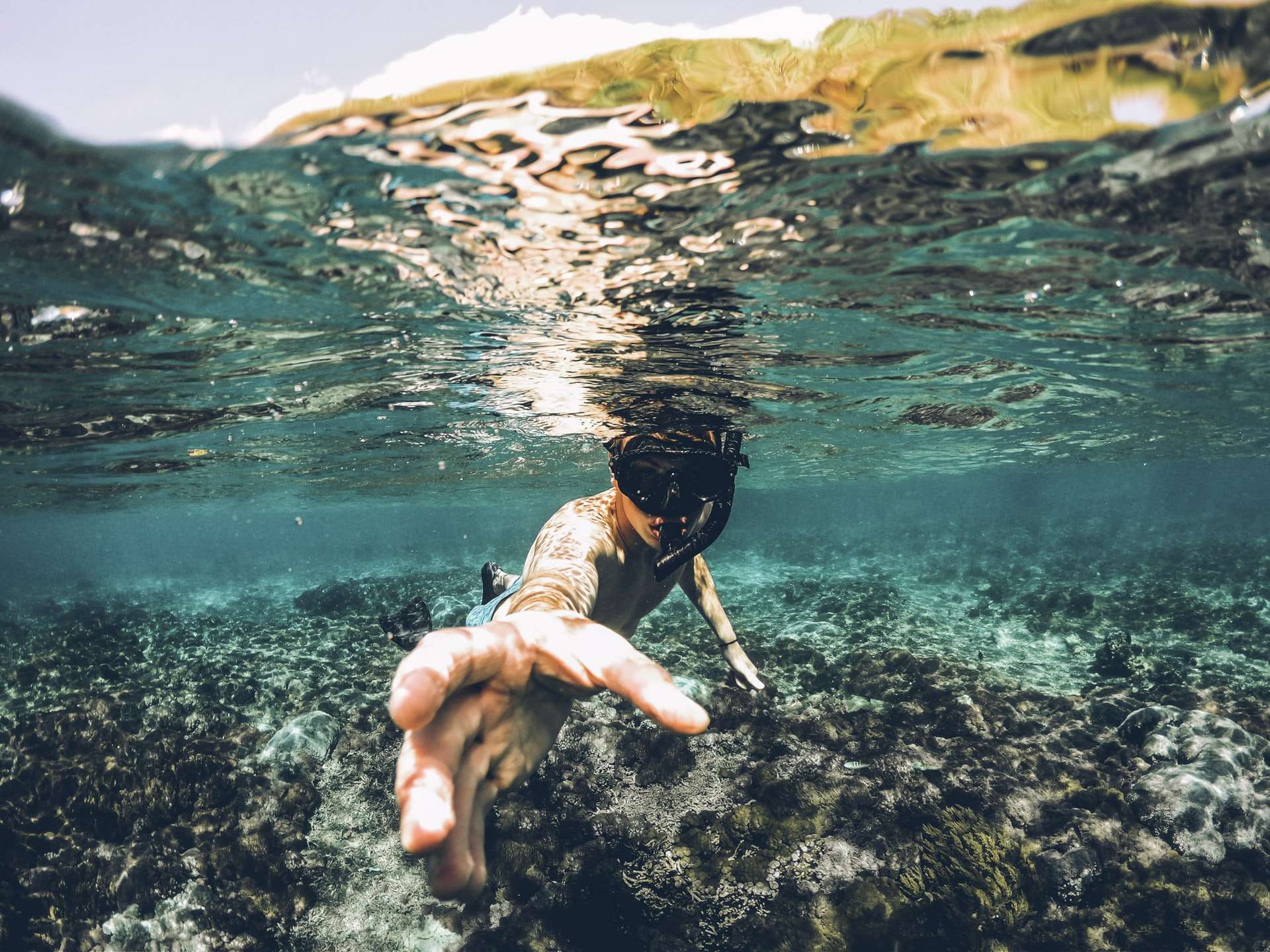 Best Places to Snorkel in Adelaide Best Places to Snorkel in Adelaide
