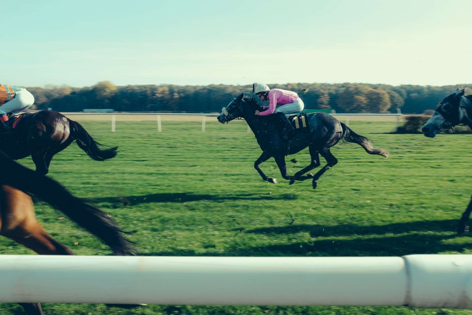Things You Need To Know About Sports Betting Things You Need To Know About Sports Betting