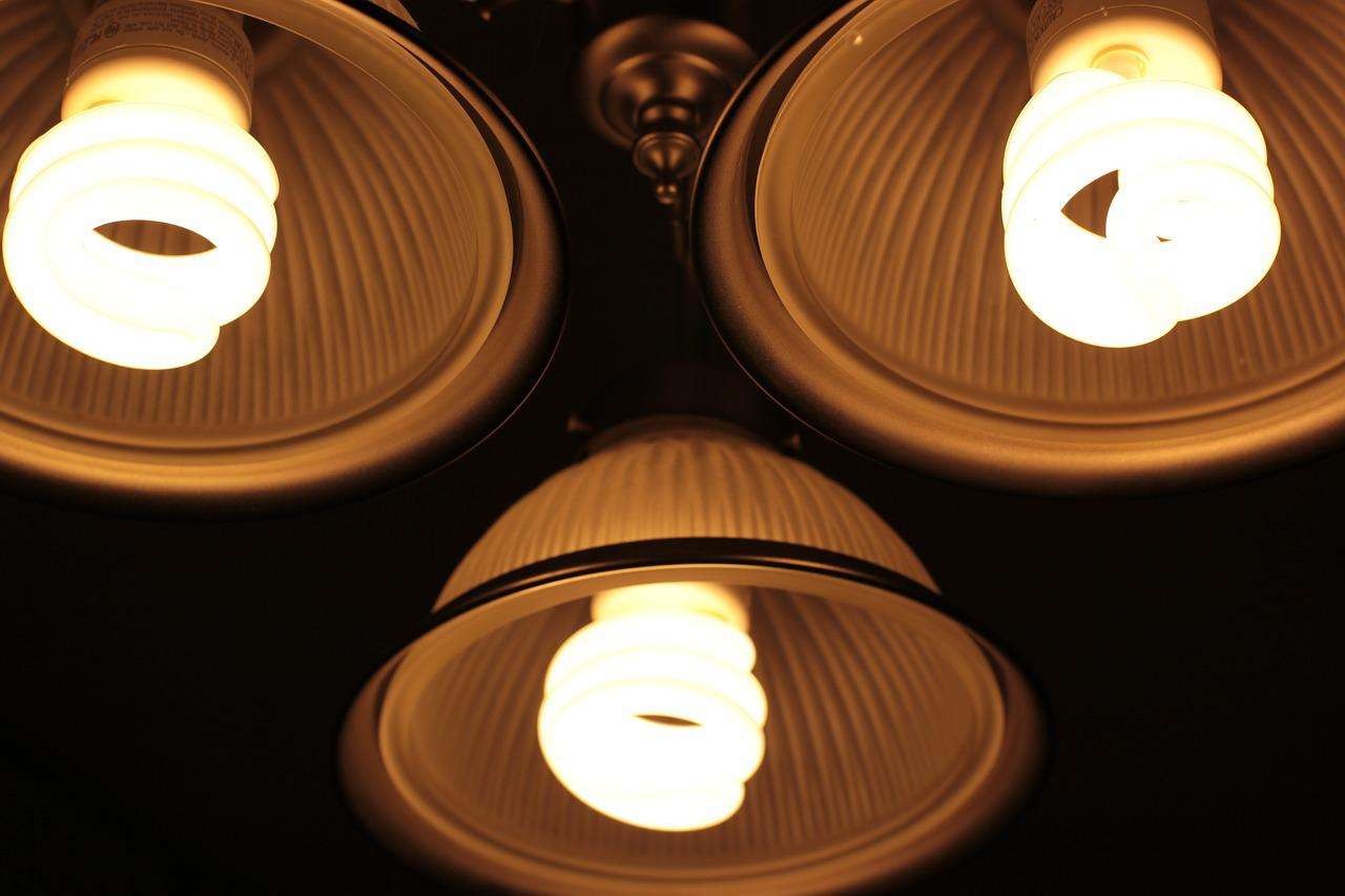 How Many Fluorescent Bulbs Do You Need to Grow Houseplants?