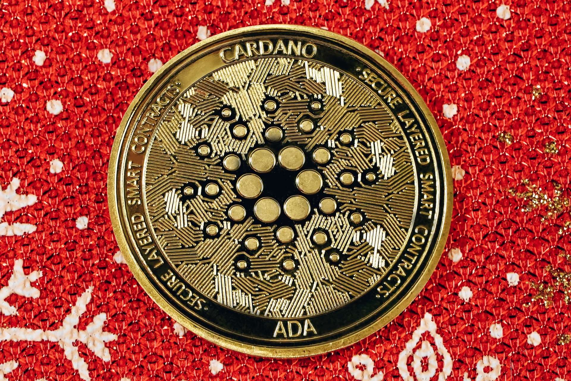 What Makes Cardano Rise Unexpectedly?