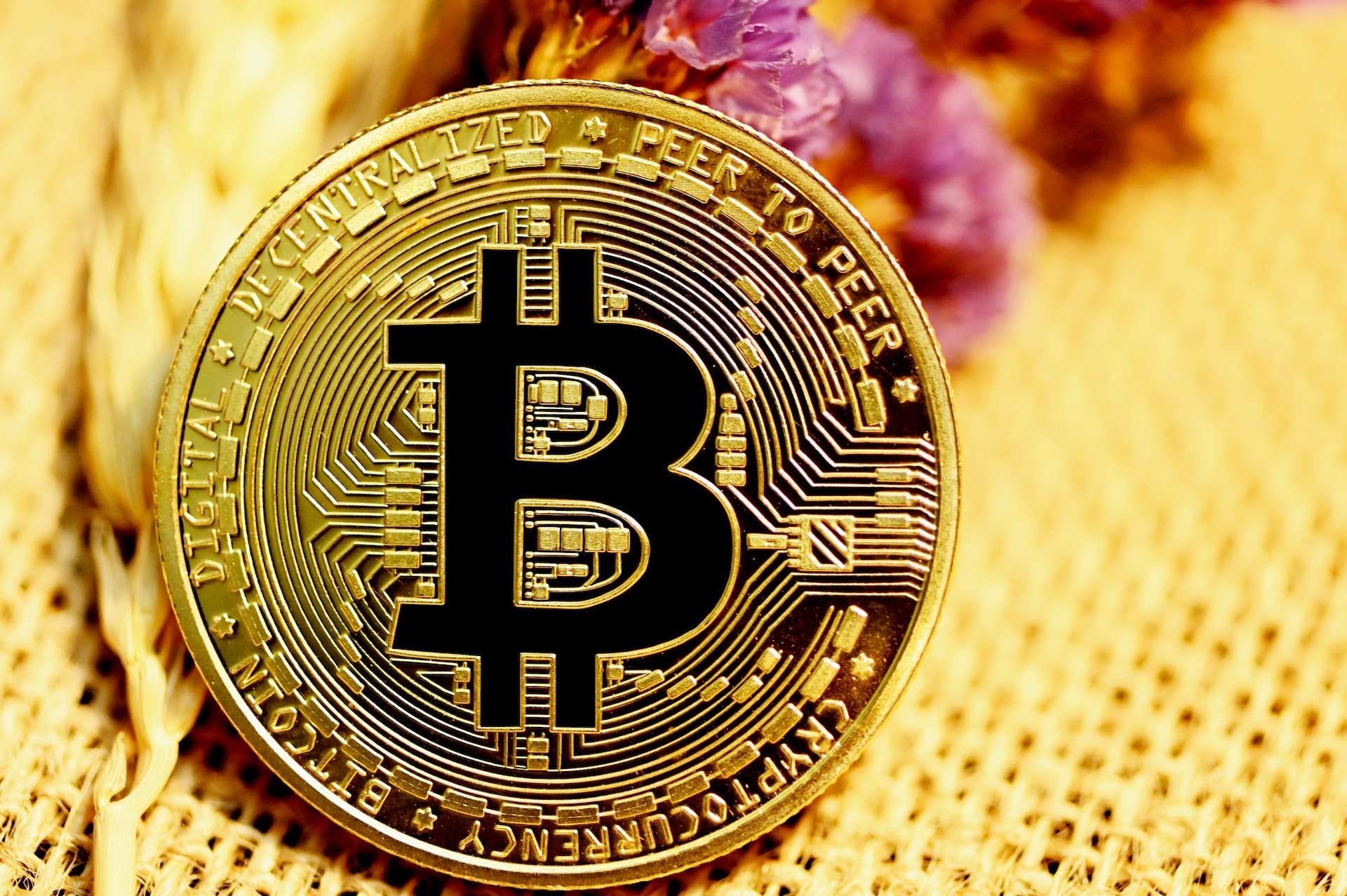 What Properties of Bitcoin Make it the Most Valuable?