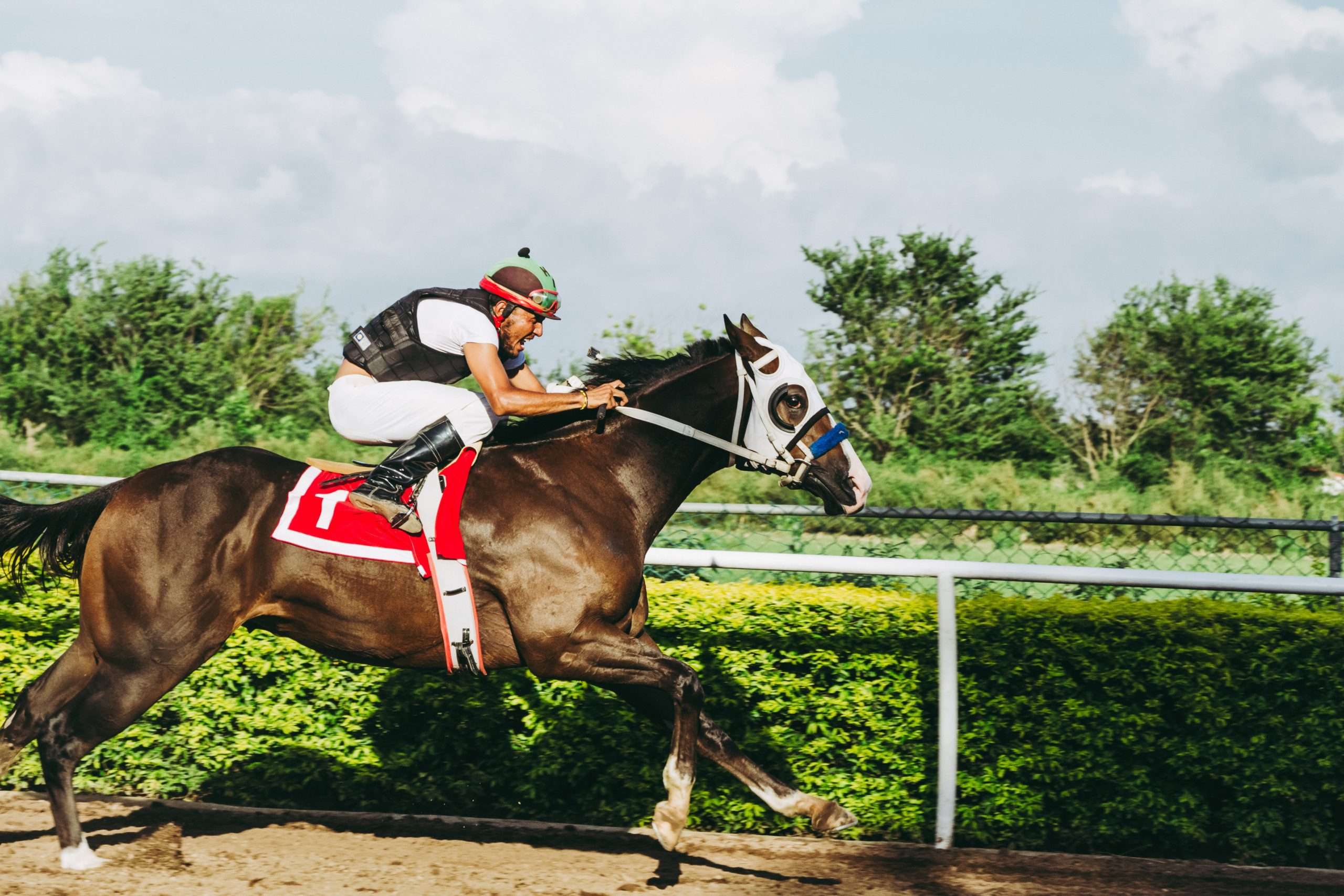 Top 5 Racehorses in the History of Melbourne Cup