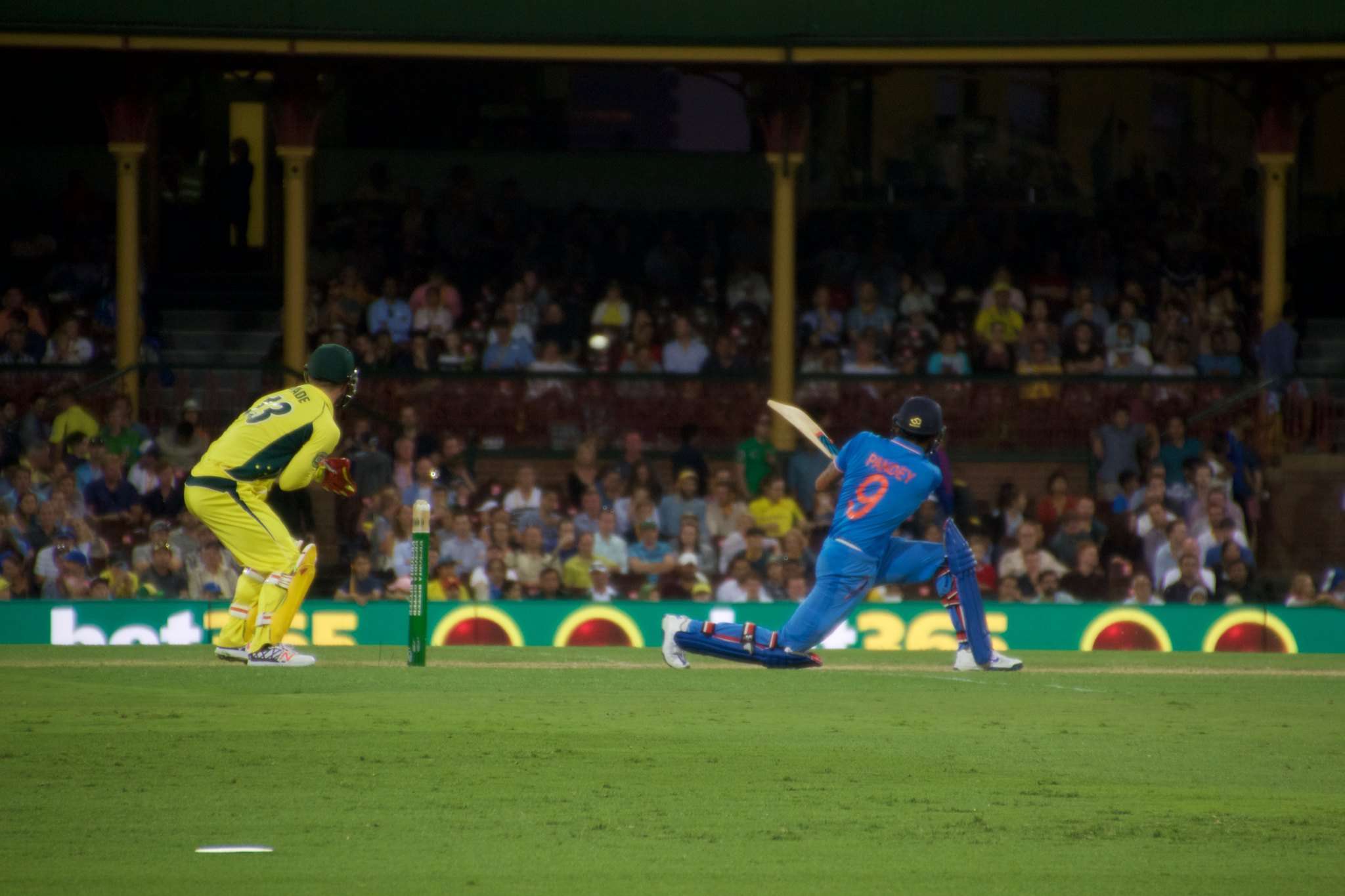 Where to Watch the T20 World Cup in Australia