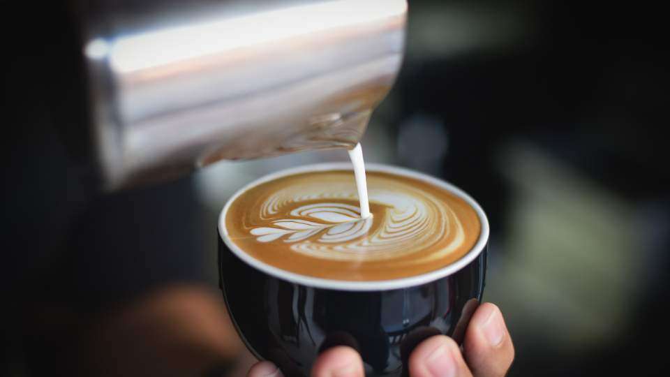 Barista