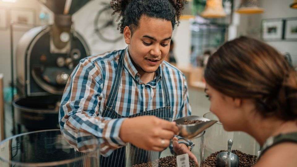 barista barista