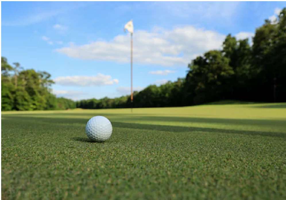 Golf Players