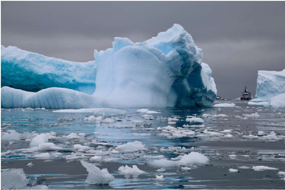 Antarctica Antarctica
