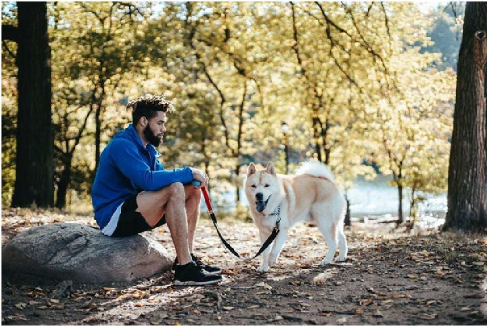 Pet-Friendly Attractions Pet-Friendly Attractions