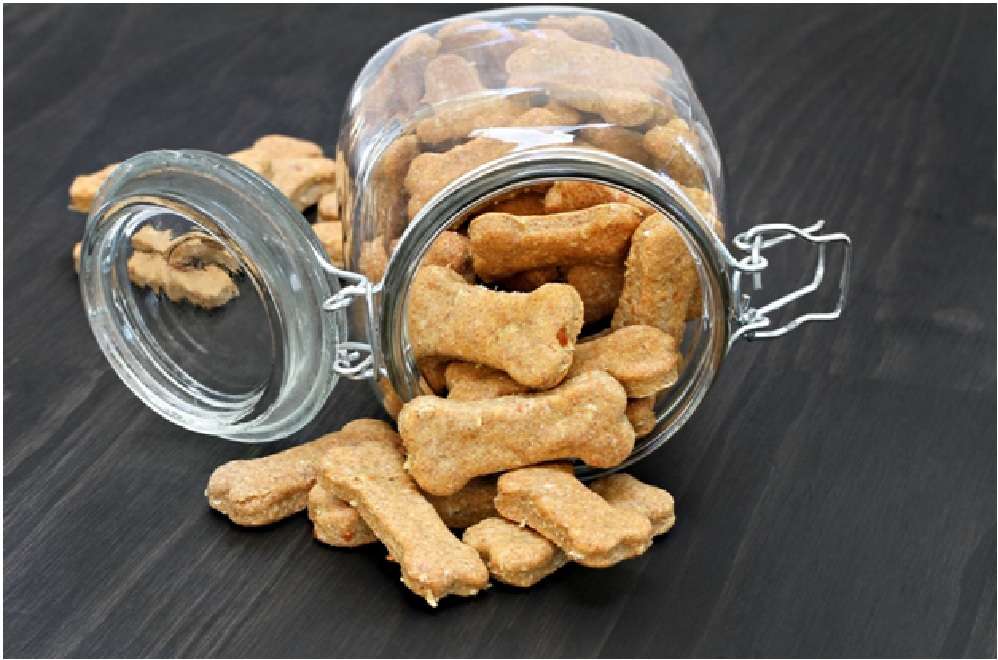 CBD Dog Treats