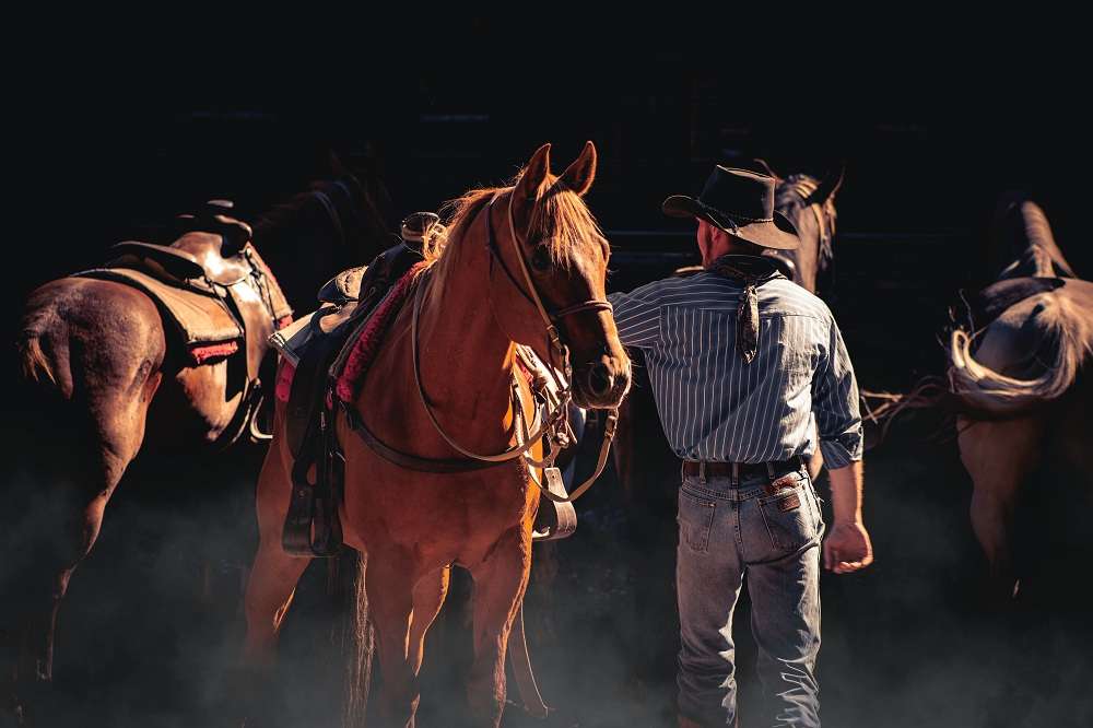 Melbourne Cup betting sites