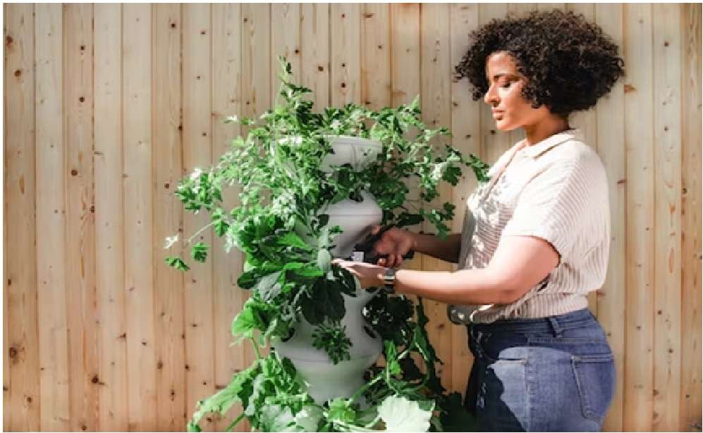 Gardening