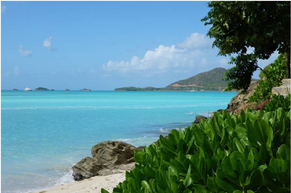 Caribbean Paradise