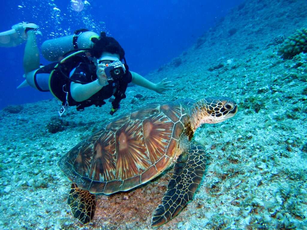 Great Barrier Reef Airlie Beach Whitsunday Guide