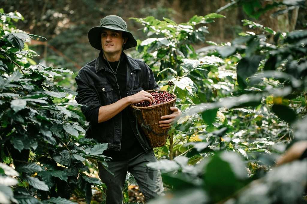 Farm Worker