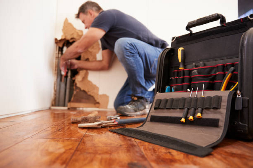 Water Damage Specialist