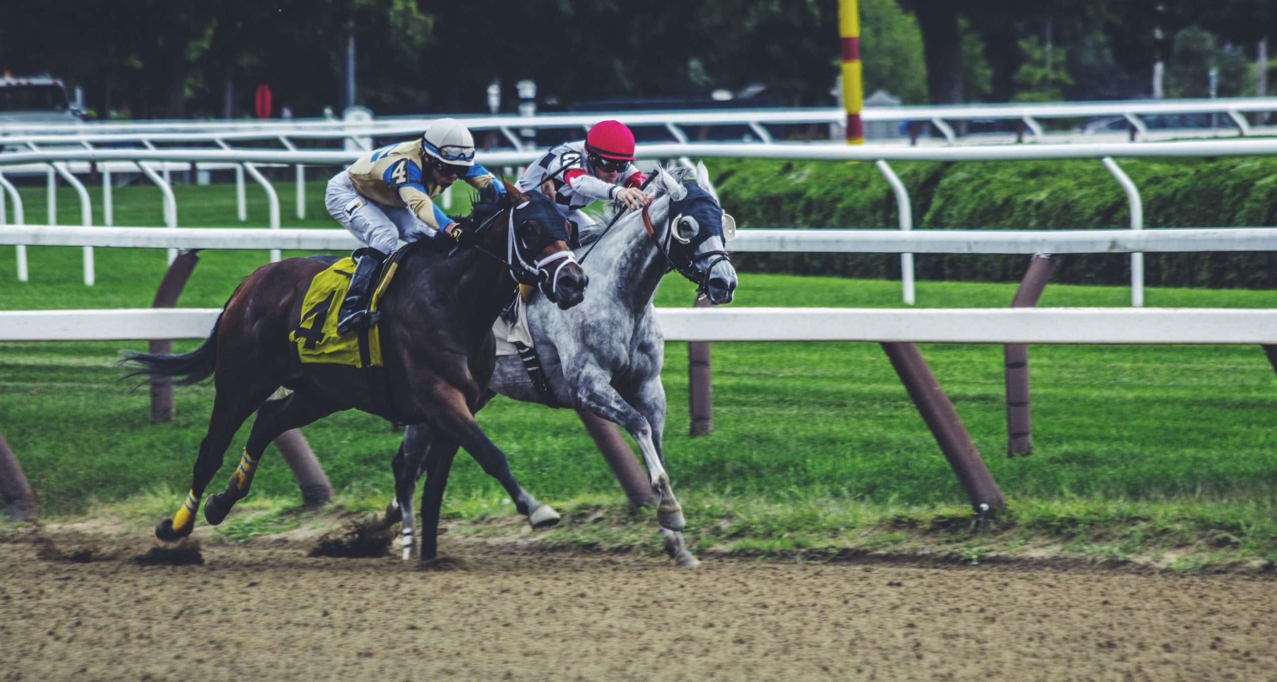 Why AFL is becoming more popular to bet on than Horse Racing Why AFL is becoming more popular to bet on than Horse Racing