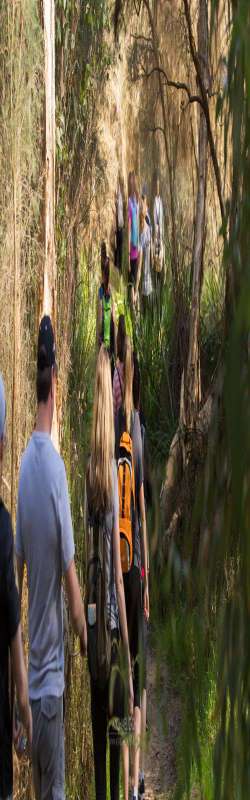 Yanchep Ultimate Collection Guided Hike 