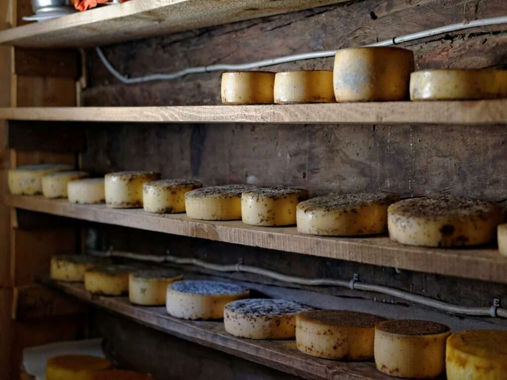  Perth Things to do: Learn the skills to turn out your Cheese