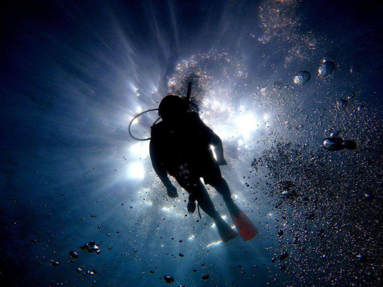 2-Tank Scuba Tour